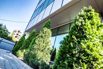 Фотографии Отель Hotel Tomi г. Бухарест (Румыния) №3 Фото Отель Hotel Tomi г. Бухарест 3