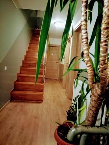 Фотографии Гостевой дом Central Guesthouse г. Бухарест (Румыния) №3 Фото Гостевой дом Central Guesthouse г. Бухарест 3