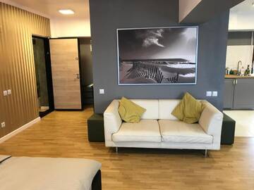 Фото номера Апартаменты с террасой Отели типа «постель и завтрак» Penthouse Group Fountain г. Бухарест 30