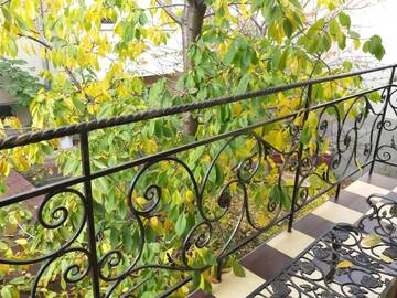 Фото номера Вилла Делюкс Виллы Beautiful Apartments in Villa near Airport г. Бухарест 43
