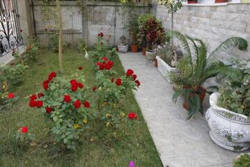 Фото номера Вилла Делюкс Виллы Beautiful Apartments in Villa near Airport г. Бухарест 44