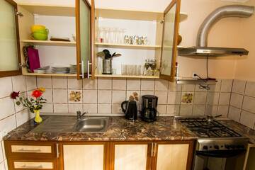 Фото номера Вилла Делюкс Виллы Beautiful Apartments in Villa near Airport г. Бухарест 27