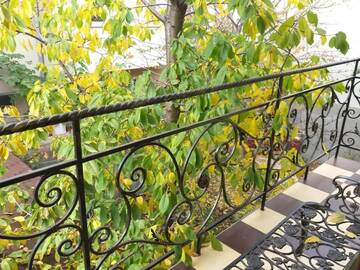 Фото номера Вилла Делюкс Виллы Beautiful Apartments in Villa near Airport г. Бухарест 85