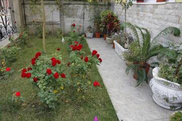 Фото номера Вилла Делюкс Виллы Beautiful Apartments in Villa near Airport г. Бухарест 86
