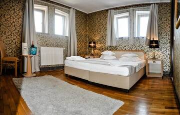 Фото номера Двухместный номер Делюкс с 1 кроватью Гостевой дом Residence Villa Barrio г. Бухарест 10