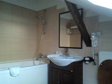 Фото номера Двухуровневый люкс Гостевой дом Residence Villa Barrio г. Бухарест 18