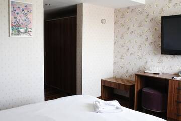 Фото номера Двухместный номер № 7 с 1 кроватью Отель Hotel Papion г. Бухарест 6