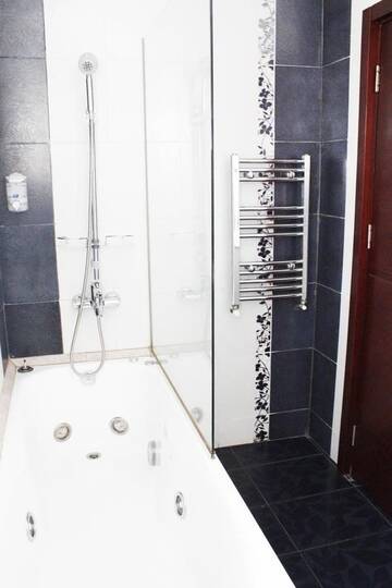Фото номера Люкс с 1 спальней и балконом - №8 Отель Hotel Papion г. Бухарест 4