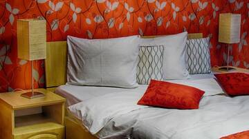 Фото номера Двухместный номер с 1 кроватью Отели типа «постель и завтрак» City Garden Rooms and Apartments г. Бухарест 7