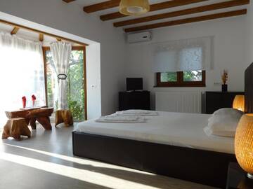 Фото номера Улучшенный двухместный номер с 1 кроватью Гостевой дом Villa Zorba г. Бухарест 2