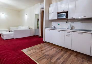 Фото номера Стандартные апартаменты без спа Отель Orhideea Residence &amp; Spa г. Бухарест 7