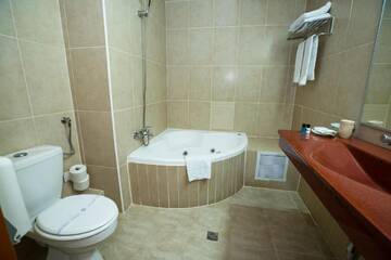 Фото номера Номер с кроватью размера «king-size» Отель Best Western Hotel Lev Or I г. Бухарест 10