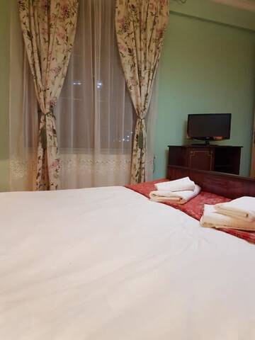 Фото номера Двухместный номер &quot;Париж&quot; Отель Hotel Bucharest Boutique Accommodation г. Бухарест 3