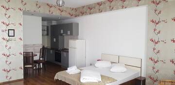 Фото номера Классический номер-студио №9 Апарт-отели Mosilor Apartments г. Бухарест 7