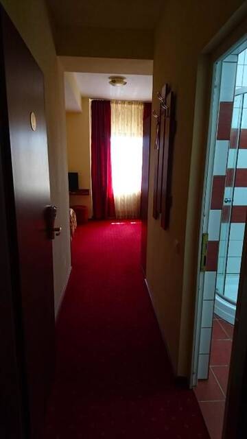 Фото номера Одноместный номер Отель Hotel Pui de Urs г. Бухарест 5