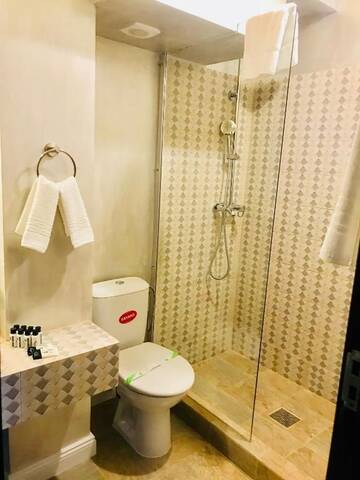 Фото номера Двухместный номер Делюкс с 1 кроватью Гостевой дом Vila 18 Hotel Boutique г. Бухарест 29