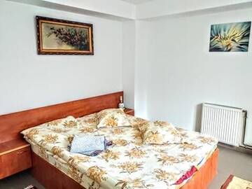 Фото номера Вилла Виллы Quiet Garden 1st Floor г. Бухарест 7