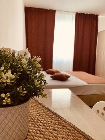Фото номера Апартаменты-студио Апарт-отели Platinum Rooms ApartHotel г. Бухарест 7