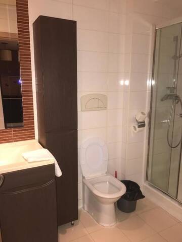 Фото номера Апартаменты с 1 спальней Апарт-отели Platinum Rooms ApartHotel г. Бухарест 41