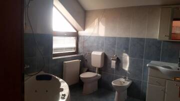 Фото номера Улучшенная вилла Гостевой дом Cristalex Villaverde Bucharest г. Бухарест 19