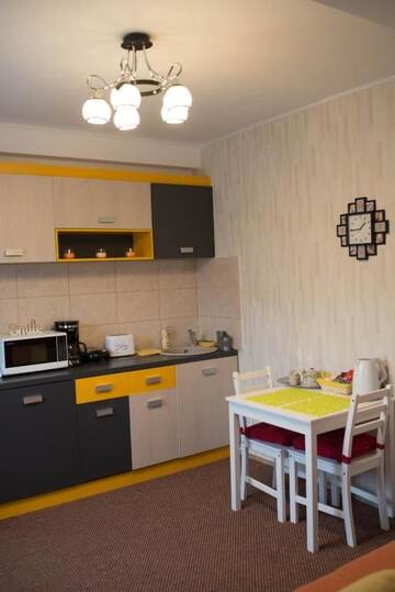 Фото номера Вилла с 1 спальней Виллы Victor Studio г. Бухарест 44