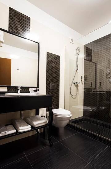 Фото номера Двухместный номер «Премиум» с 1 кроватью Отель Ganzo Boutique Hotel г. Бухарест 10