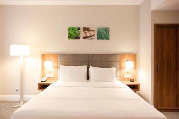 Фото номера Номер с кроватью размера «king-size» Отель Hilton Garden Inn Bucharest г. Бухарест 10