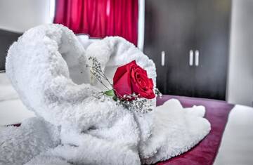 Фото номера Двухместный номер с 1 кроватью Отель Hotel Elisabeta г. Бухарест 7