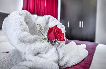 Фото номера Двухместный номер с 1 кроватью Отель Hotel Elisabeta г. Бухарест 13