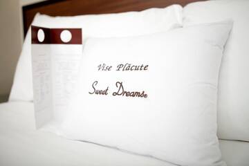 Фото номера Одноместный номер Отель DoubleTree by Hilton Bucharest Unirii Square г. Бухарест 3