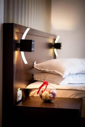 Фото номера Двухместный номер с 1 кроватью и террасой Отель Hotel Duke Armeneasca - Ex Tempo г. Бухарест 5