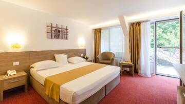 Фото номера Двухместный номер/номер Твин бизнес-класса с балконом Отель Hotel Herastrau г. Бухарест 5