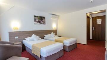 Фото номера Двухместный номер/номер Твин бизнес-класса с балконом Отель Hotel Herastrau г. Бухарест 4