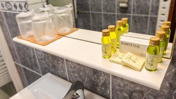 Фото номера Улучшенный двухместный номер с 1 кроватью или 2 отдельными кроватями, вид на парк Отель Hotel Herastrau г. Бухарест 6